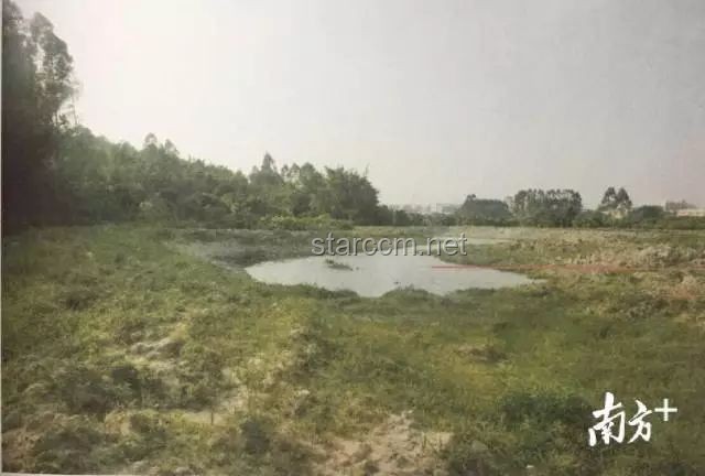 不出钱包下20亩大鱼塘，高效养殖赚取大利润实用指南